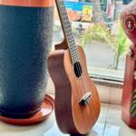 Midbrown choco Kasper Ukuele